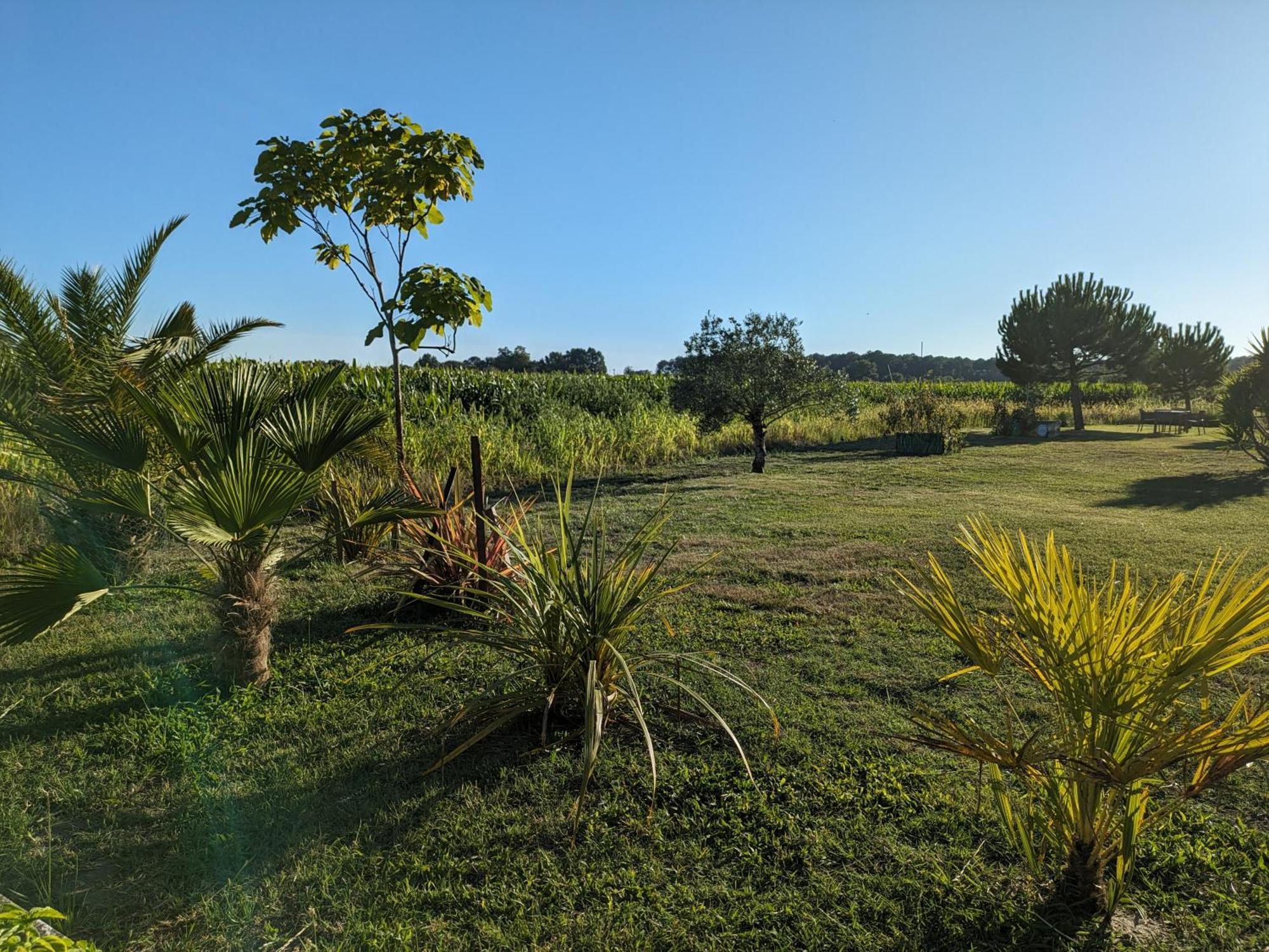 Villa La Grange D'Hardy Soustons Esterno foto