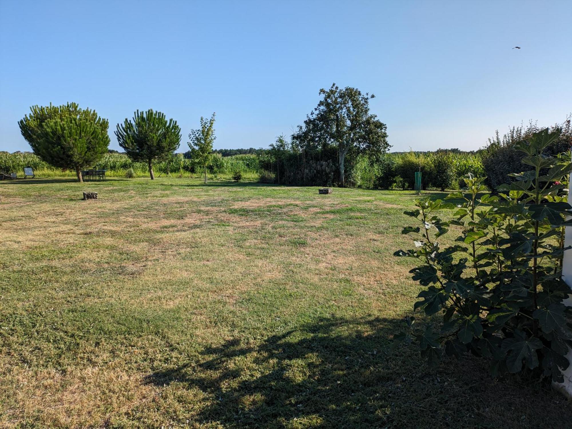 Villa La Grange D'Hardy Soustons Esterno foto