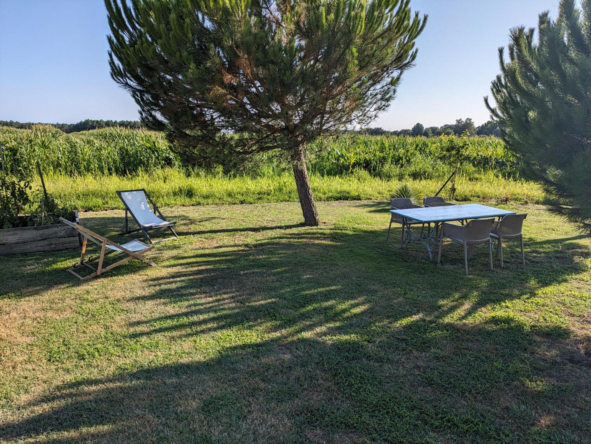 Villa La Grange D'Hardy Soustons Esterno foto